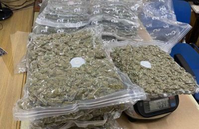 Police uncover large-scale cannabis operation