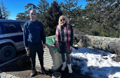 Stray dogs get shelter and hope in chilly Troodos (images)