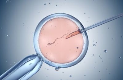 Ultrasound sparks sperm speed boost for IVF success