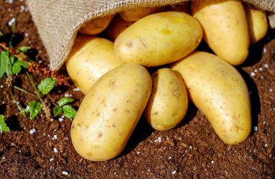 Cyprus and Greece forge alliance against potato fraud