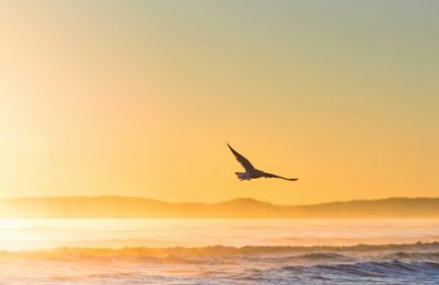 Sunny days ahead with a touch of dust