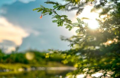 Clear skies and gentle breezes