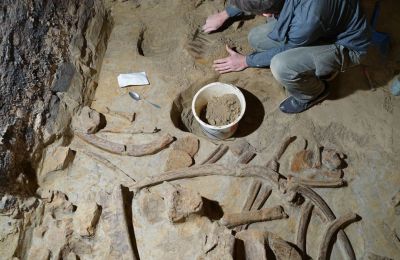 30,000-year-old mammoth bones found in Austria