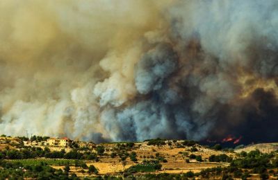 Over 100 animals killed in Paphos wildfires