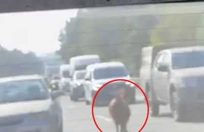 Breaking news: Goat escapes, jams Larnaca-Nicosia motorway (video)