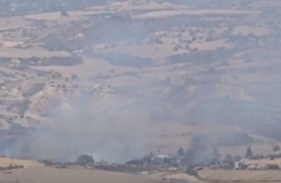 Wildfire erupts in Paphos district, homes threatened (video)