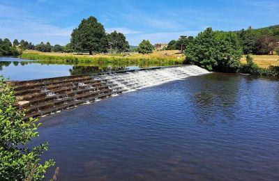 Salmon return to Derbyshire river for first time in a century