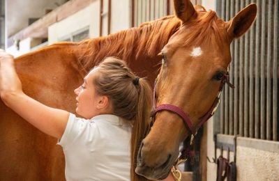 UNIC to upgrade equine clinic at Nicosia Race Club