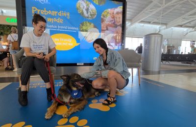 ''Paws'' and relax at Larnaka airport (vid)