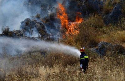 Blaze in Souni-Zanakia burns 5 hectares, causes building damage