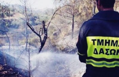 Attempt to light shisha leads to arrests over forest fire in Limassol