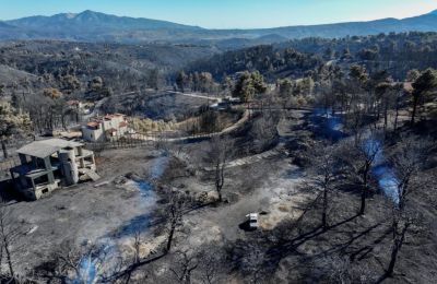 Power issue may have sparked deadliest wildfire in Greece