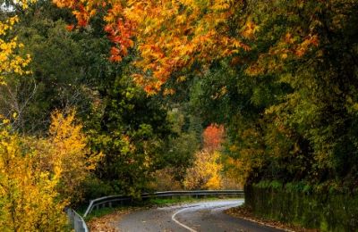 A winding road in the Troodos mountains - Photo Unsplash