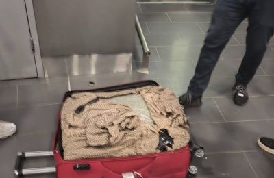 35 kilos of cannabis seized at Larnaca airport, 2 arrested (pics)