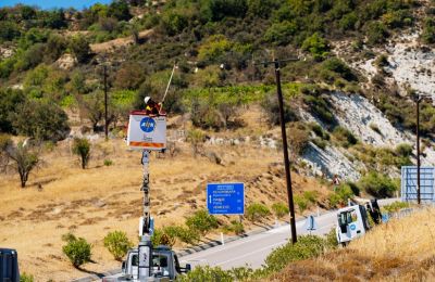 Cyprus steps up efforts to protect vultures with marked power lines