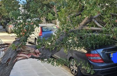 Unrelenting winds batter Cyprus, Nicosia hit hardest