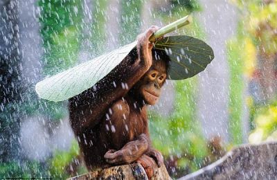 Hump day showers brings a midweek refresh