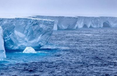 The world's largest iceberg pictured in Antarctica in January 2024. - Rob Suisted/Reuters/File