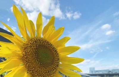 Blue skies, golden sunshine, and warmer days ahead. Photo credit: glow.withmay Instagram