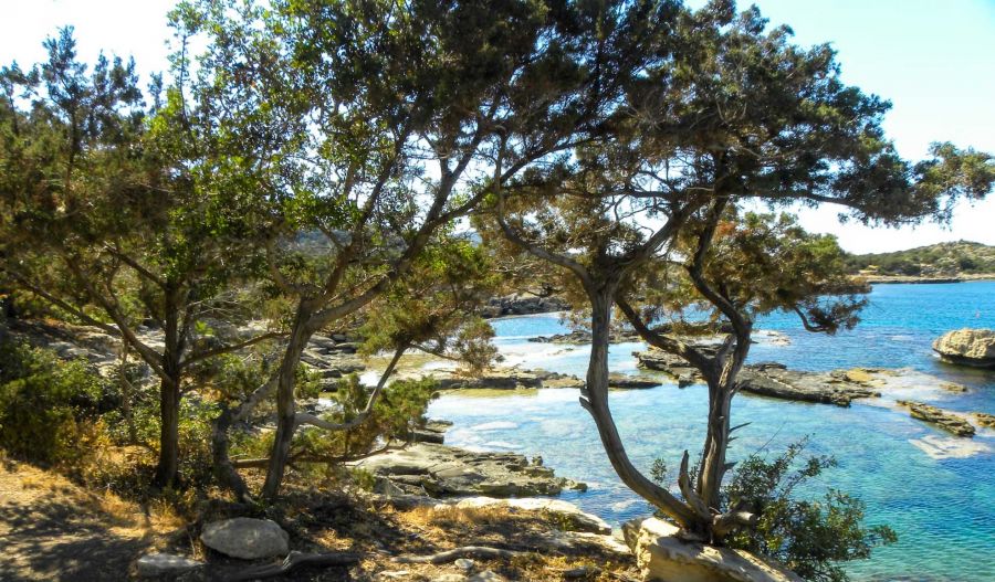 Illegal structures found in Akamas, action urged