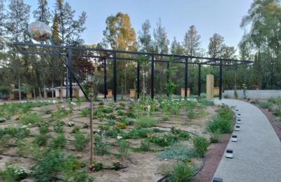 A new era of urban planning must trade grey sprawl for green survival. Photo courtesy of Christos Pasadakis Google (Ourania Kokkinou Park)