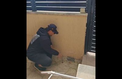 Snakes on the rise as drought drives snakes into Cyprus homes