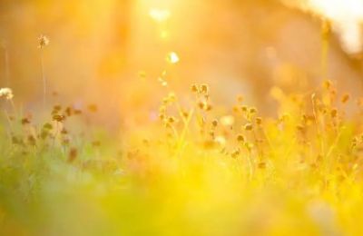 Where cloud shadows wander and the warm winds rise. Photo credit: Unsplash