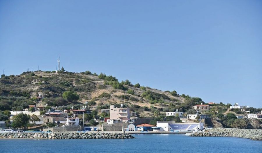File photo of Tilliria