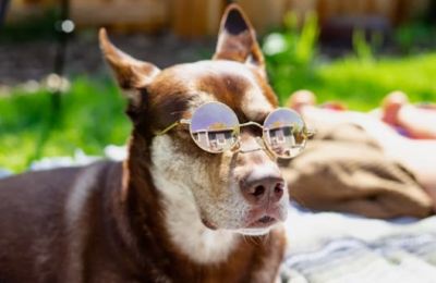 Clear skies, rising temperatures, and a brief change ahead. Photo credit: Unsplash