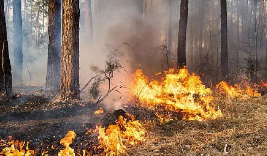 Fire sparked by metalwork near main Nicosia–Troodos road quickly brought under control. Photo credit: Unsplash