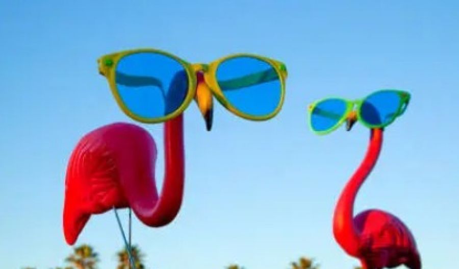 Clear skies, light winds, and a taste of summer ahead. Photo credit: Unsplash