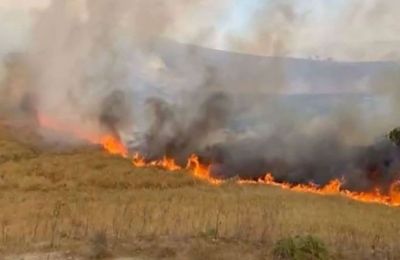 Emergency teams respond to wildfire as military helicopter assistance requested. Photo courtesy of Cyprus Mirror