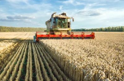 Tariffs on Russian and Belarusian goods aim to cut reliance, protect EU producers, and curb war funding. Photo credit: Unsplash