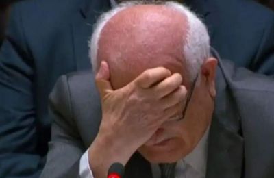 Palestinian Ambassador to the UN, Riyad Mansour, pleads for humanitarian aid to reach Palestinians in Gaza. 