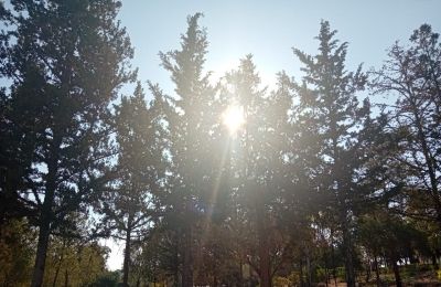 From cool mornings to hot afternoons. Hello, almost summer. Photo credit: Martha Kehagias