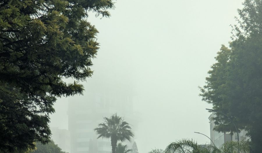 Quiet weather, rising temps, and that coastal fog routine.