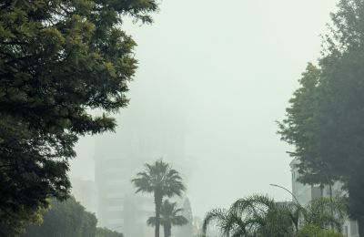 Quiet weather, rising temps, and that coastal fog routine.