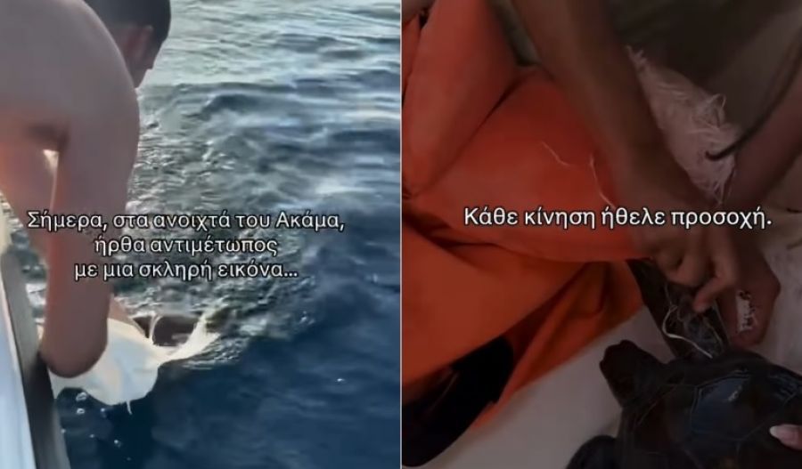 Man rescues entangled loggerhead turtle off Akamas coast