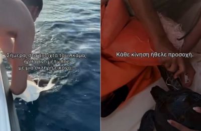 Man rescues entangled loggerhead turtle off Akamas coast