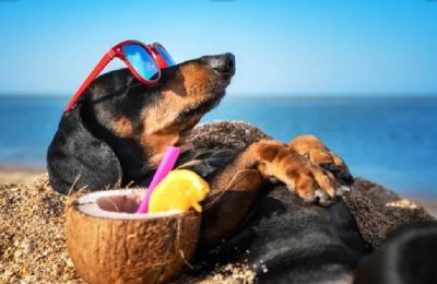 Summer blaze: 39°C heat ushers in a clear, fiery weekend. Photo credit: Unsplash