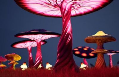 Move aligns with growing international trend toward legalizing psychedelics for mental health treatment. Photo credit: Unsplash