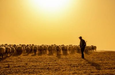 Community condemns assault and calls to protect tradition of peaceful coexistence. Photo credit: Unsplash