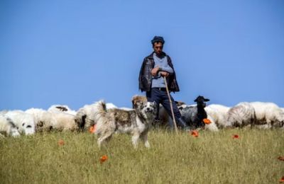 Community condemns assault and calls to protect tradition of peaceful coexistence. Photo credit: Unsplash