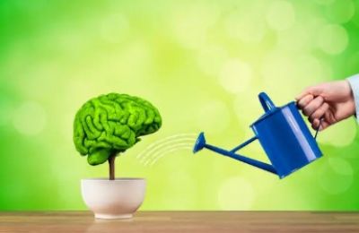 KEBE urges holistic strategy in “Minds in Cyprus” talent initiative. Photo credit: Unsplash
