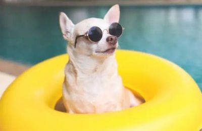 It's 40°C, your sandals are melting, and yes—we're still cracking jokes. Photo credit: Unsplash