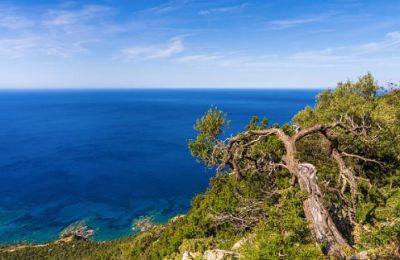  Letter to Audit Office cites dozens of suspected arson cases in Akamas. Photo credit: Unsplash
