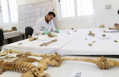 AI and radar breathe new life Into Cyprus' search for the missing