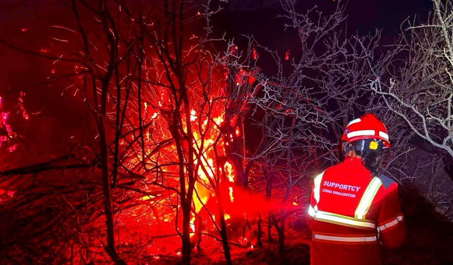 Centuries-old olive grove lost in wildfire as firefighters contain blaze during strong winds and high fire risk. Photos courtesy of SupportCY Facebook