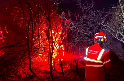 Centuries-old olive grove lost in wildfire as firefighters contain blaze during strong winds and high fire risk. Photos courtesy of SupportCY Facebook