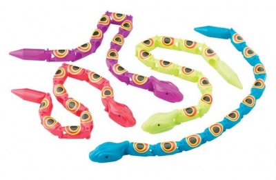 Happy Snake Day. Photo courtesy of SmileMakers.com